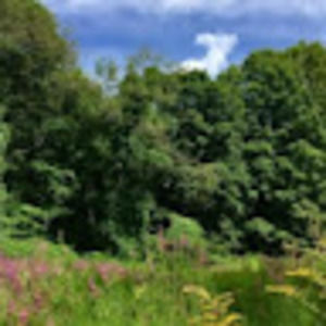 Meet your Posher, Alice